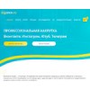 bigsmm.ru