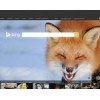 bing.com