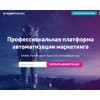expertsender.ru
