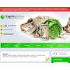 kapysta.online