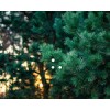 park-kuzminki.ru
